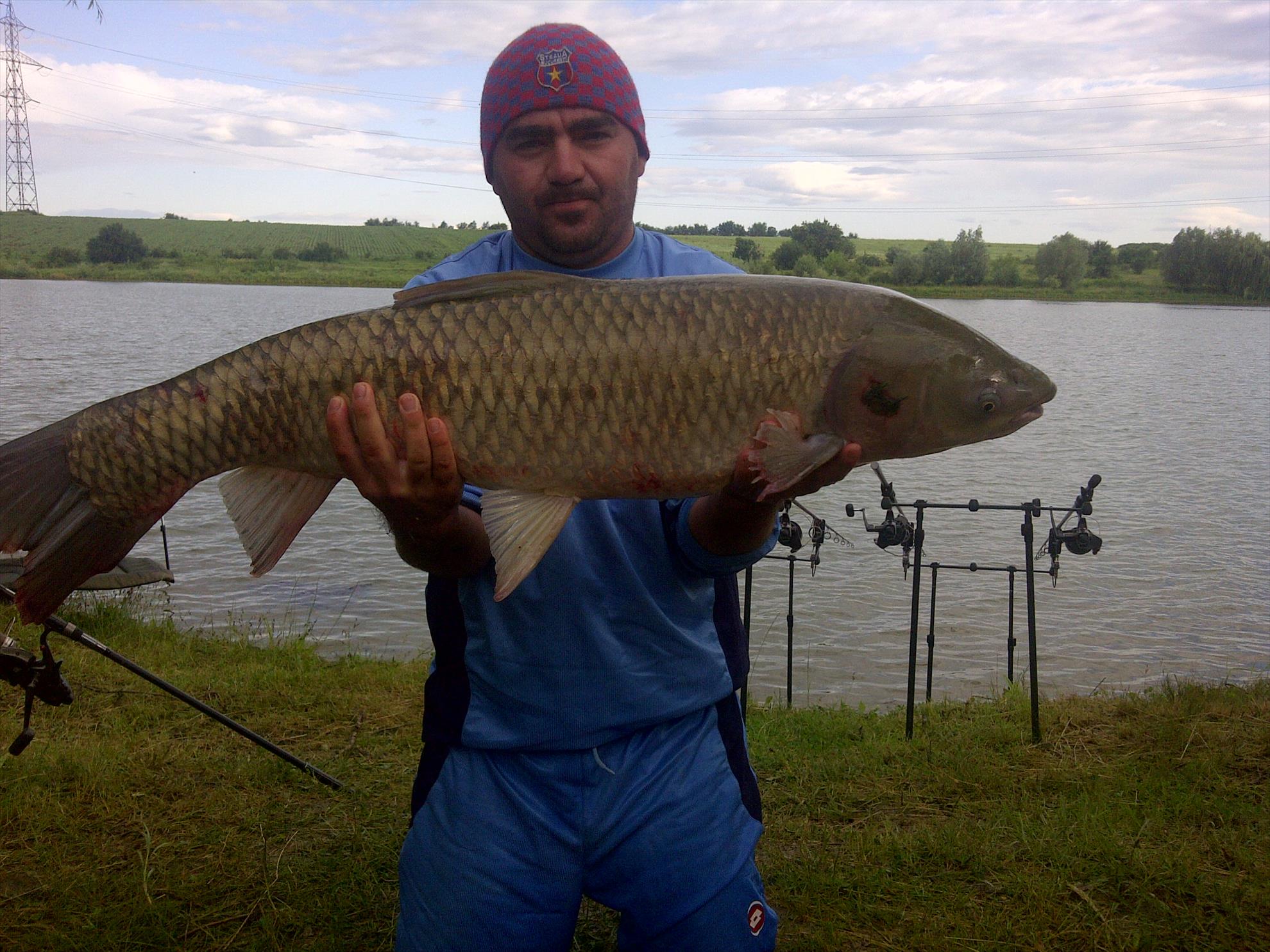 catch & release - img-20110626-00100.jpg